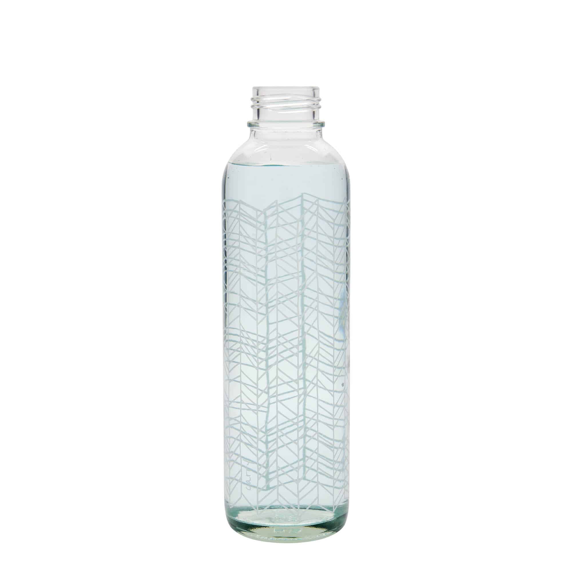 700 ml fľaša CARRY Bottle, motív: Structure of Life, hrdlo: skrutkovací uzáver